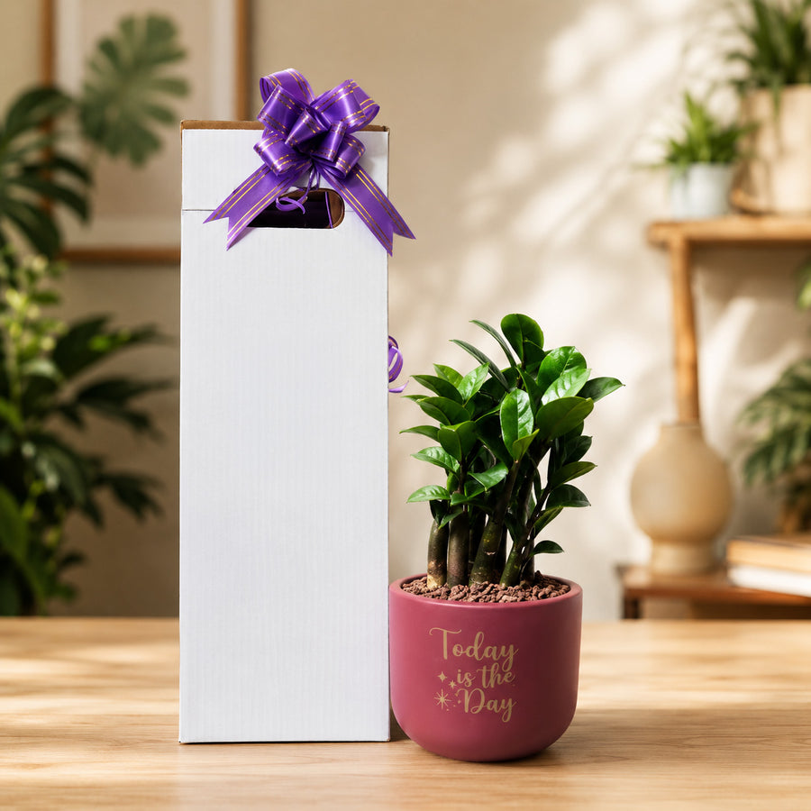 Cozy plant corner with inspirational quote