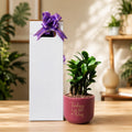 Cozy plant corner with inspirational quote